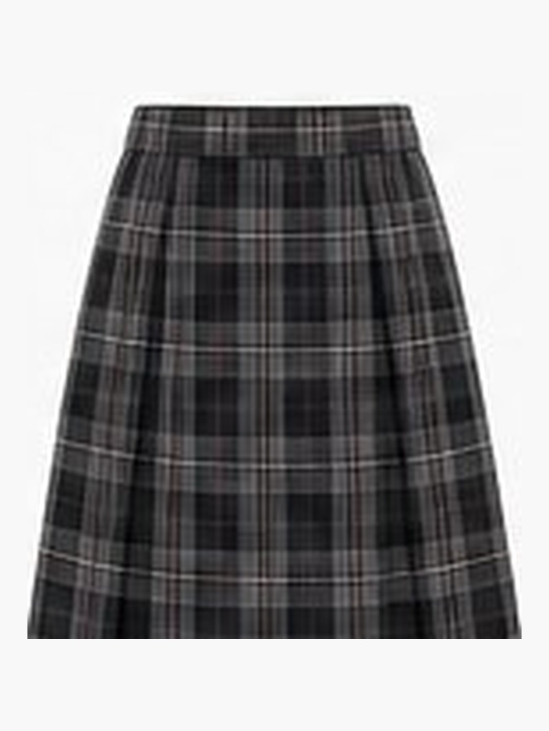 Pleated Skirt — Grey